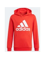 Detská mikina Essentials Big Logo Hoodie Jr GN4037 - Adidas Detská mikina Essentials Big Logo Hoodie Jr GN4037 - Adidas