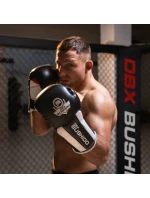 Boxerské rukavice 10oz - Phantom White - Valor Series