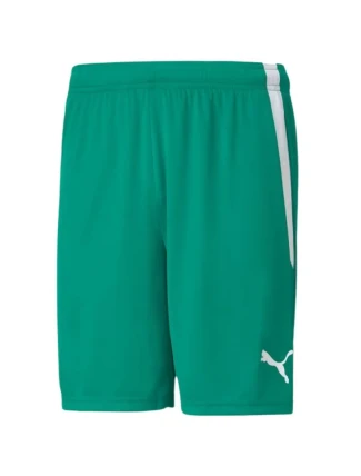 Šortky Puma teamLiga M 704924 05