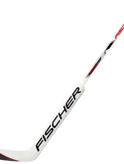 Brankárska hokejka hybridná Fischer GF550 '24 Sr H177123,25