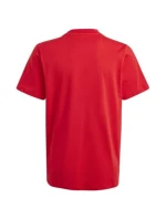 Tričko adidas Big Logo Tee Jr IJ6262
