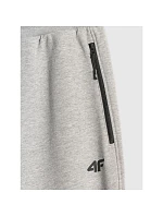 Pánske tepláky typu jogger 4F 4FRMM00TTROM2020-27M