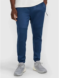 Pánske rýchloschnúce tréningové nohavice 4F 4FWAW25TFTRM0888-27S