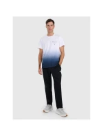 Pánske tričko s potlačou 4F 4FRAW25TTSHM3226-31S