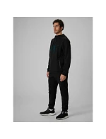 Pánske tepláky typu jogger 4F 4FRSS26TTROM2110-20S