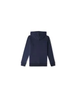 O'Neill Logo Hoodie Jr 92800615001