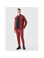 Pánske rýchloschnúce tréningové nohavice 4F 4FRAW24TFTRM0933-61S