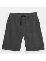 Pánske šortky M 4FSS23TSHOM156 23M - 4F