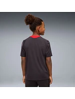 Koszulka Puma AC Milan Training JSY 786641-20