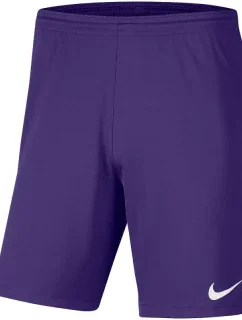 Pánska obuv Dry Park III NB K M BV6855 547 - Nike