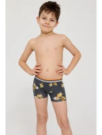 Boxerské šortky CornetteKids Boy 701/156 Hornet 2 122-128 Boxerské šortky CornetteKids Boy 701/156 Hornet 2 122-128