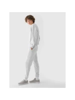 Dámska mikina s kapucňou 4F 4FWMM00TSWSF1765-27M