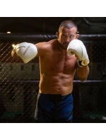 Boxerské rukavice 8oz - Hammer White - Legacy Series