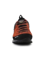 Pánske topánky Salewa MS MTN Trainer 2 GTX M 61356-7519