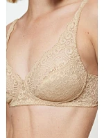 Soft model 229327 Triumph