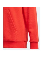 Detská mikina Essentials Big Logo Hoodie Jr GN4037 - Adidas Detská mikina Essentials Big Logo Hoodie Jr GN4037 - Adidas