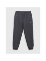 Pánske tepláky typu jogger 4F 4FRAW25TTROM1696-22S