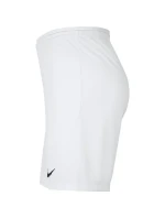 Pánska obuv Dry Park III NB K M BV6855 100 - Nike