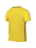 Pánske tričko Nike Dri-Fit Park 26 SS Top yellow HM7127 719 pánske