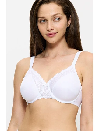 Soft model 229351 Triumph Soft model 229351 Triumph