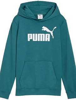 Puma ESS No.1 Logo Hoodie green 684909 41