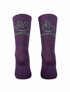 Cyklistické ponožky NORTHWAVE Sunday Monday Sock, fialové