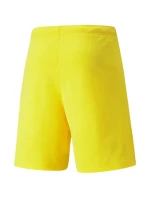 Pánske šortky teamRISE Cyber M 704942 07 - Puma Pánske šortky teamRISE Cyber M 704942 07 - Puma