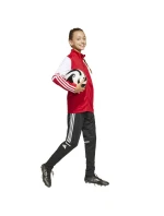 Mikina adidas Squadra 25 Training Jr JD4797