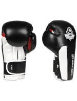 Boxerské rukavice 10oz - Phantom White - Valor Series