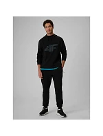 Pánske tepláky typu jogger 4F 4FRSS26TTROM2110-20S