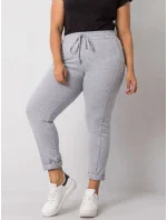 Tepláky RV DR 6300.19 sivá