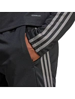 Nohavice adidas Squadra 25 Training M JD1625