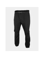 Pánske trekingové nohavice 4F H4L22-SPMTR063