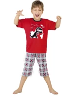 Chlapčenské pyžamo 541/17 I got you - Cornet