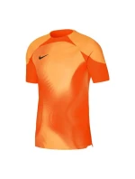 Pánske brankárske tričko Dri-FIT ADV Gardien 4 M DH7760-819 - Nike