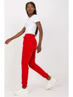 Teplákové nohavice model 169723 BFG