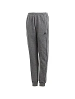 Chlapčenské nohavice Core 18 Sweat JR CV3957 - Adidas