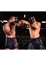 Tréningové rukavice MMA M - Aureos - Valor Series