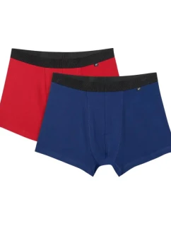 Pánske boxerky 4F M059 2-pack multicolor 2 4FWMM00UBXSM059 92S