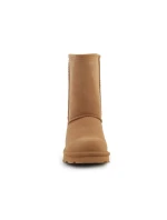 BearPaw Elle Short 1962W-243 ICED COFFEE BearPaw Elle Short 1962W-243 ICED COFFEE