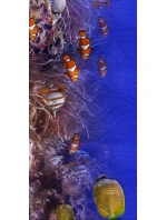 Plážová osuška 100x180