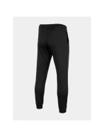 Pánske tepláky M 4FSS23TFTRM167-20S - 4F