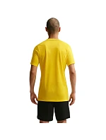 Pánske tričko Nike Dri-Fit Park 26 SS Top yellow HM7127 719 pánske