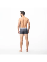 Pánske plavky Stripe M 92800076209 - Aquawave Pánske plavky Stripe M 92800076209 - Aquawave