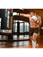 Boxerské rukavice 10oz - Japonsko - Valor Series