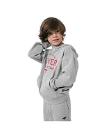 Chlapci Jr HJZ22 JBLM006 27M - 4F