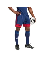 Šortky adidas Squadra 25 M JH3408