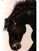 Bavlnená deka Cotton World Touch Animal, Motor 160x200