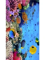 Plážová osuška 100x180