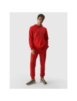 Mikina 4F M 4FWMM00TSWSM1464-70S men